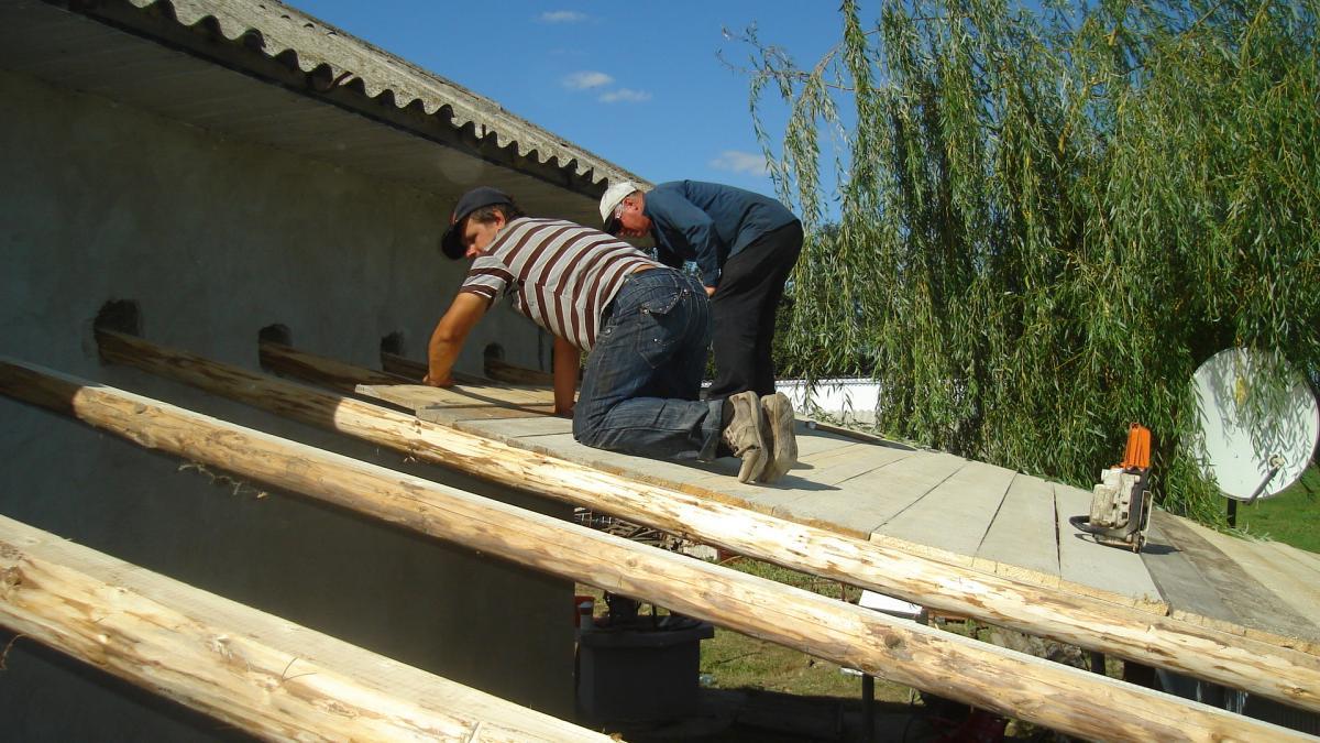 ALTFEL DE PLECACIUNI LA FEL IMPORTANTE